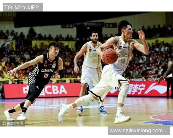 杭州排球队与南京排球队耐力对决赛后分析与反思